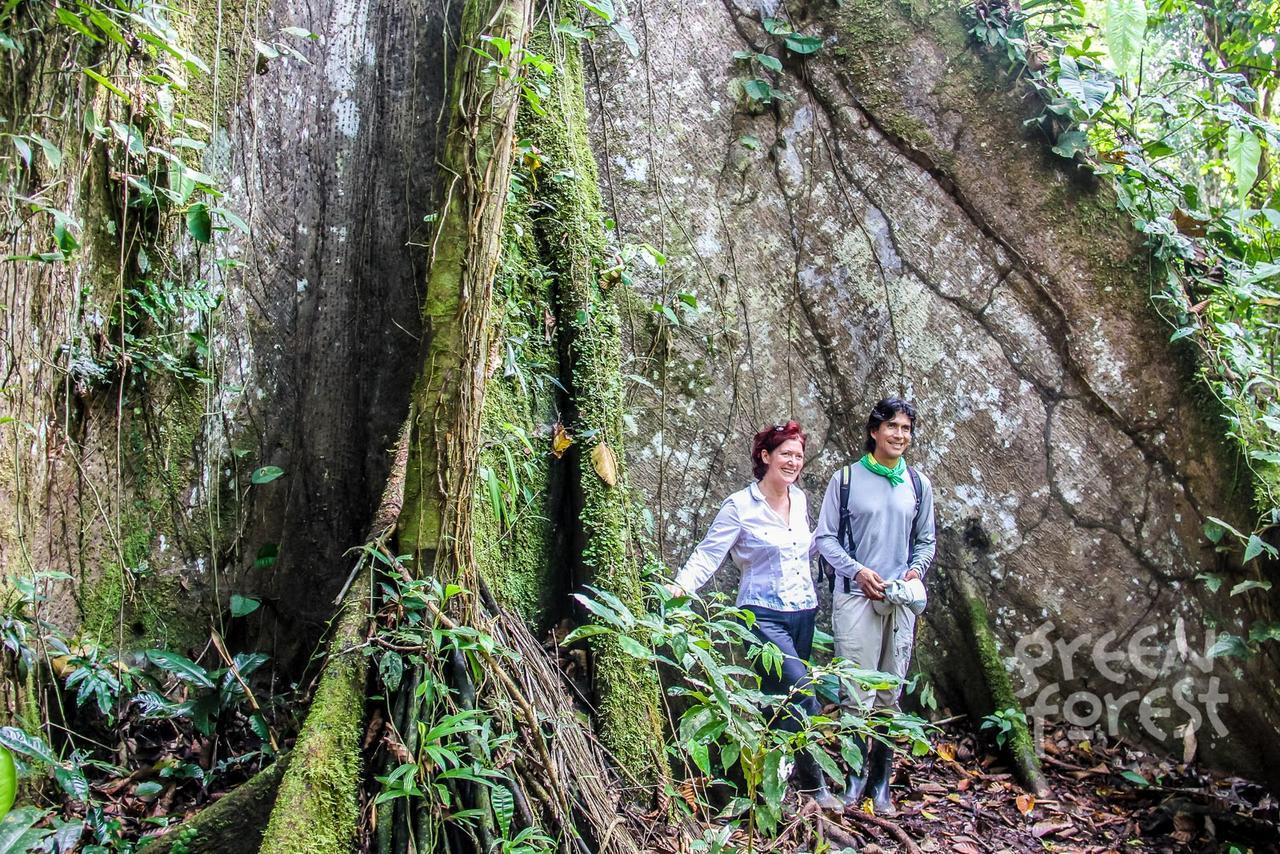 Green Forest Ecolodge Puerto Montufar Dış mekan fotoğraf