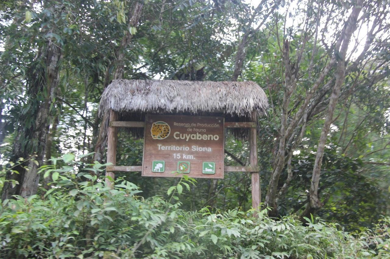 Green Forest Ecolodge Puerto Montufar Dış mekan fotoğraf